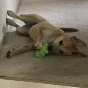 Team Page: Drama, Drama, Drama